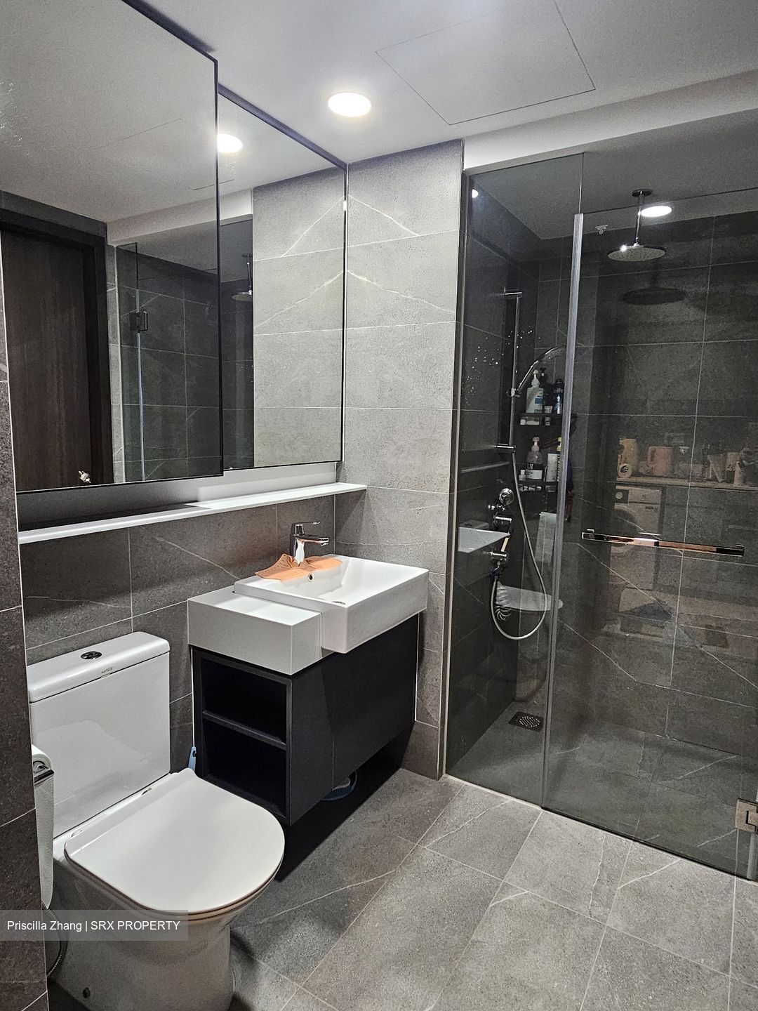 Riverfront Residences (D19), Apartment #550527451
